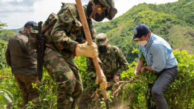 Photo of Piden a Colombia usar todos los mecanismos contra cultivos de coca