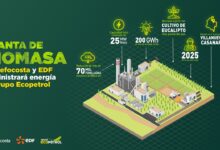 Photo of EDF Colombia y Refocosta construirán planta de biomasa para suministrar energía eléctrica al Grupo Ecopetrol