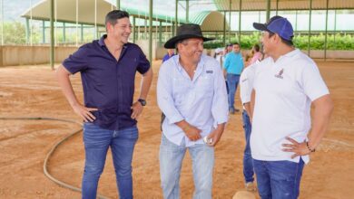 Photo of Casanare será sede de la feria de exposición bovina avalada por Asocebú