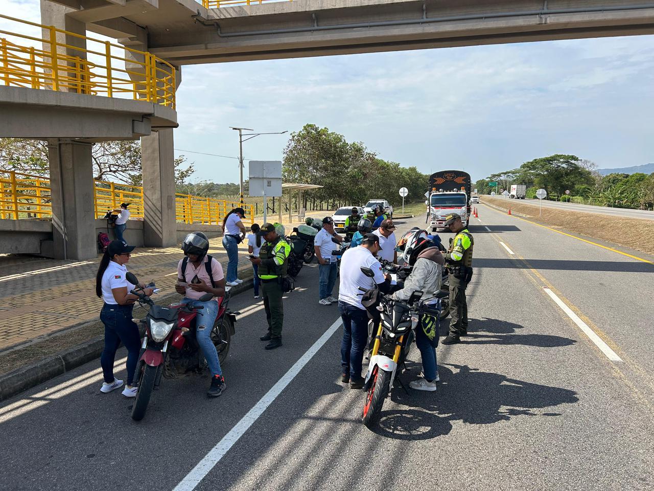 Foto de Referencia